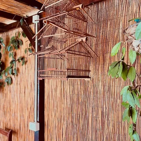 Casa Colina Tenerife Hébergement de vacances *