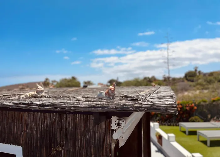 Дом отдыха Casa Colina Tenerife