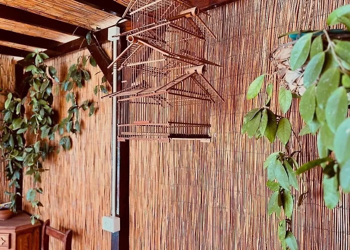 Casa Colina Tenerife Дом отдыха *